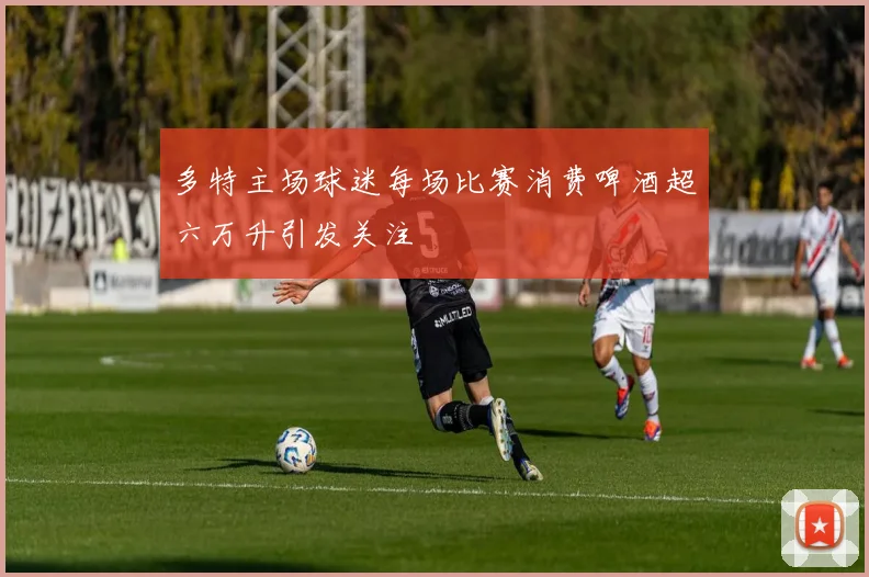 多特主场球迷每场比赛消费啤酒超六万升引发关注
